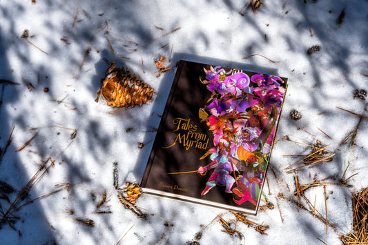 Tales From Myriad: Corebook: Limited Edition - (AUS)