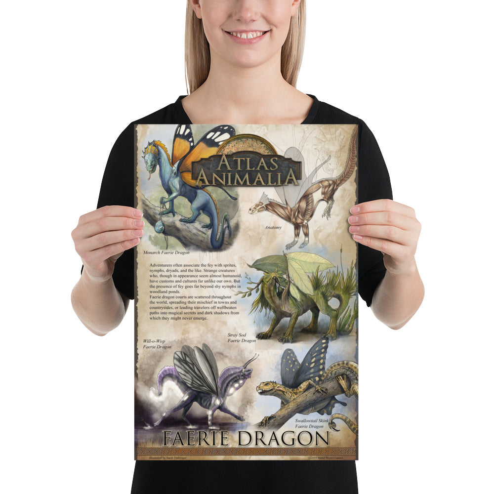 Faerie Dragon Diversity